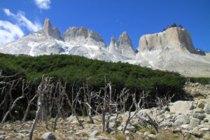 torres-del-paine-trekking