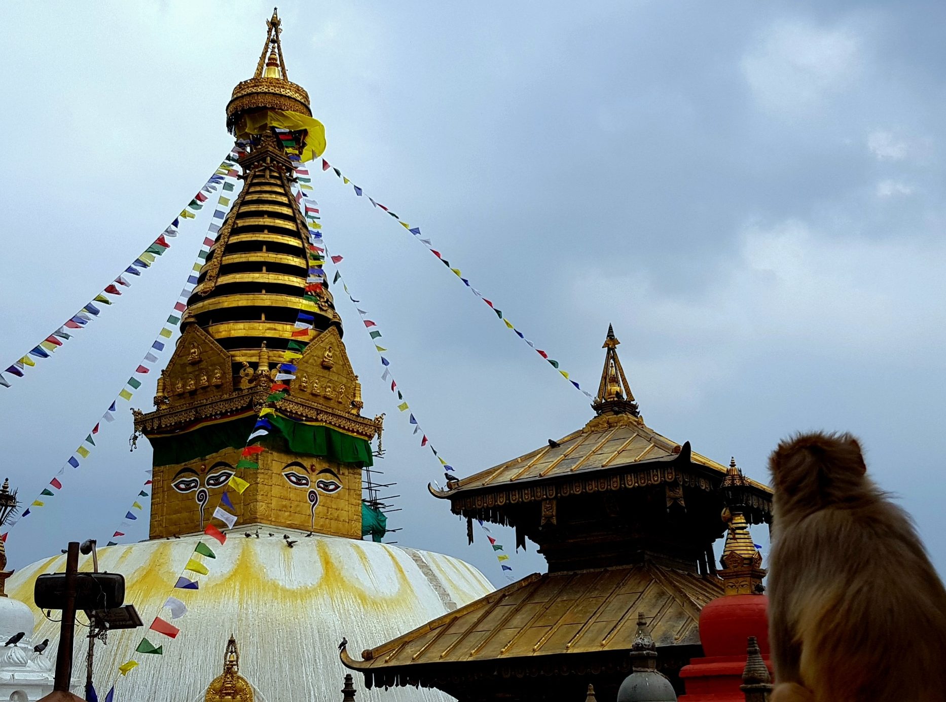 Kathmandu Monkey Temple