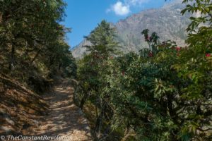 Tsum Valley trail 